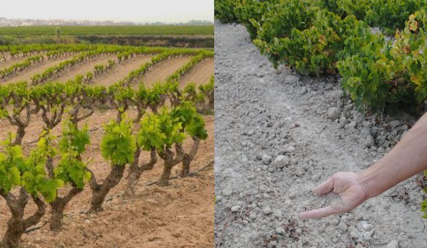 suelos tipos de suelo montilla-moriles