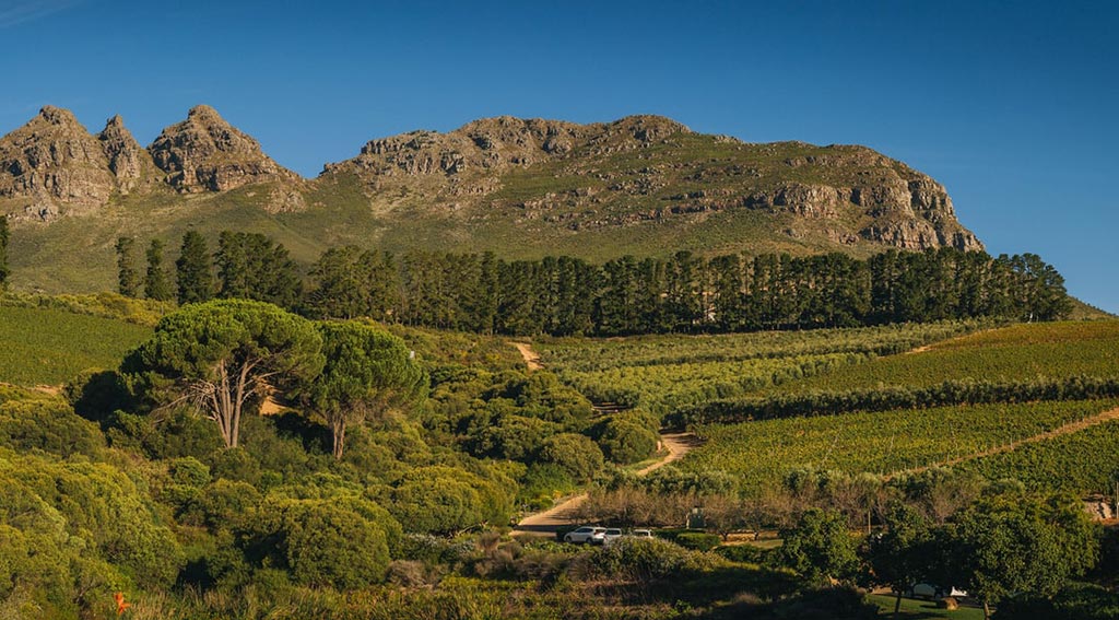 Vinos fortificados Cape Port Sudafrica fortified wines We Love Montilla Moriles Cordoba