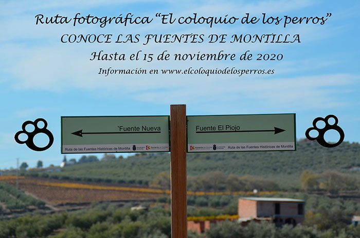 Ruta Fotográfica por las fuentes históricas de Montilla - we love montilla moriles
