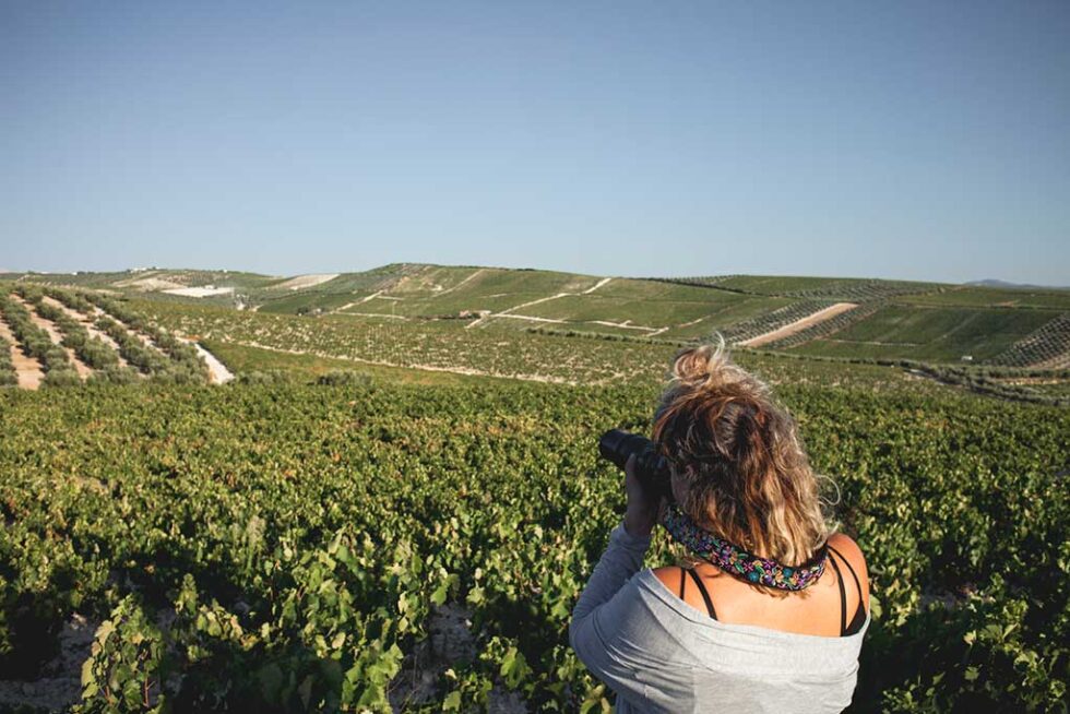 Turismo Gastronomía Y Experiencias únicas En Montilla Moriles Córdoba 6360