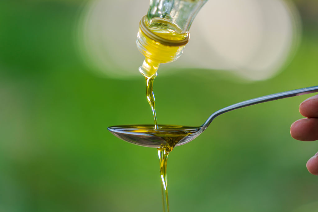 cultura del aceite de oliva en cordoba - we love montilla moriles