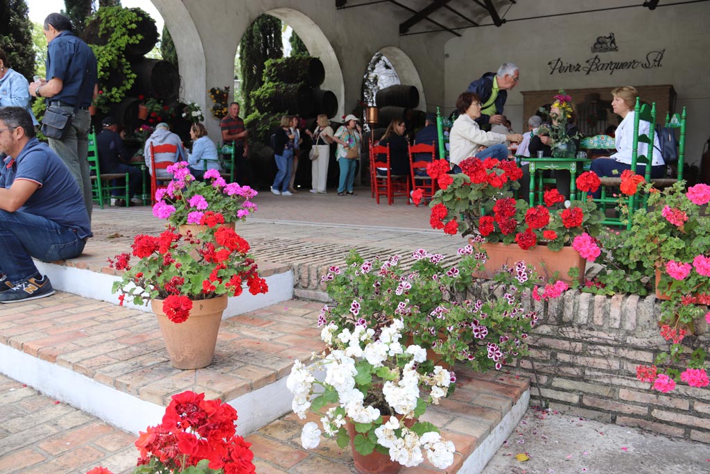 Patio de la Marquesina Bodegas Pérez Barquero - We Love Montilla Moriles