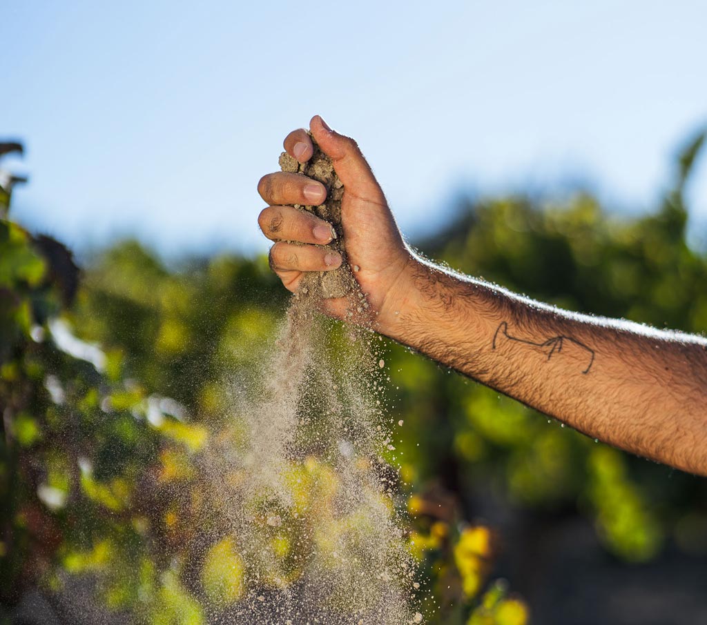 Contenido urnas de vidrio. Vino con más de 2000 años de antigüedad - We Love Montilla Moriles