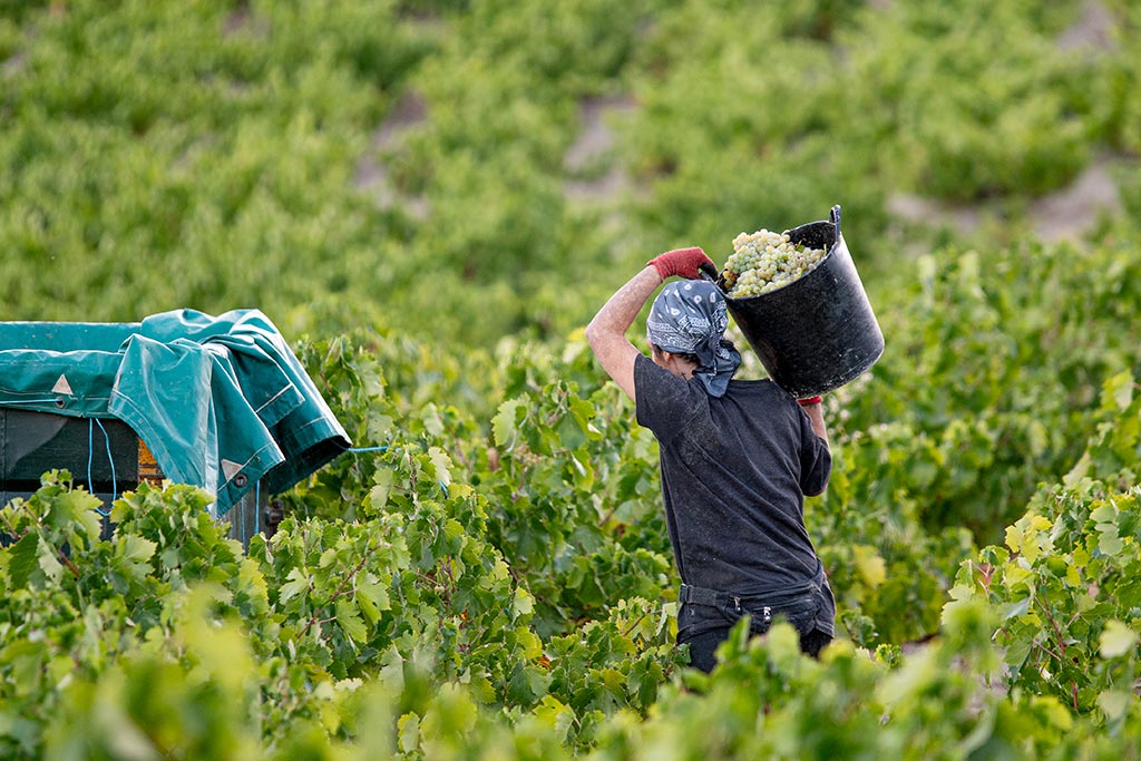 5 Cortijos para escaparse a celebrar el Día de Andalucía - We Love Montilla Moriles