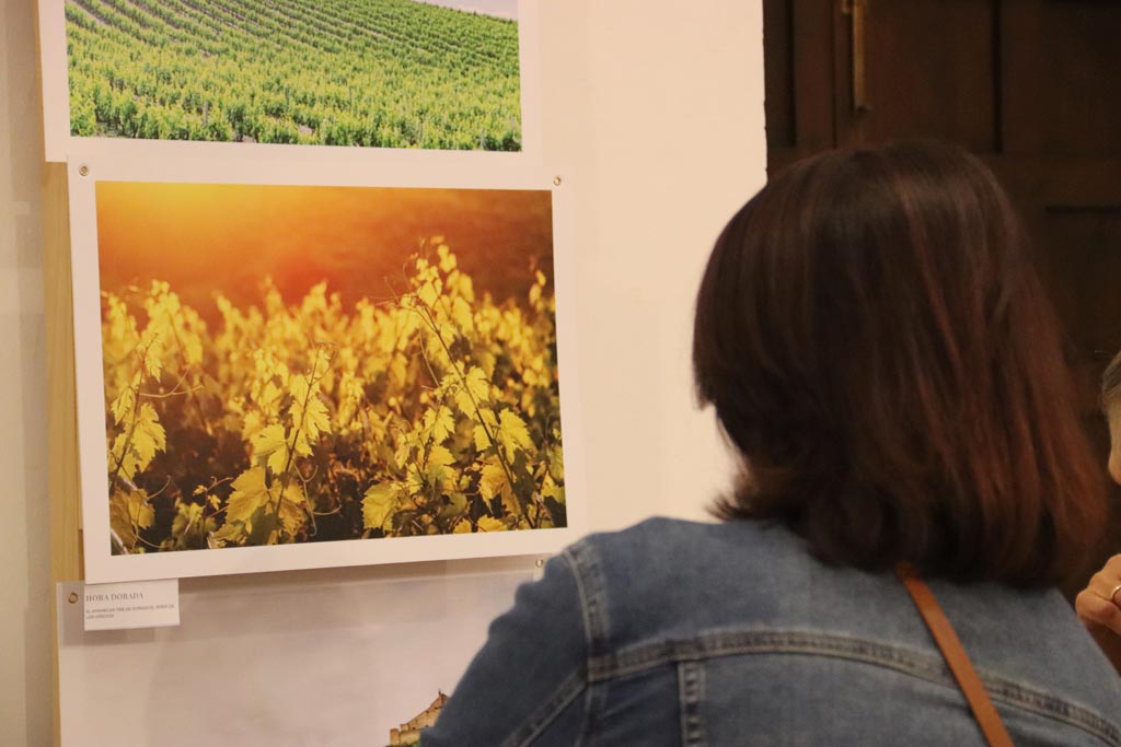 Tumba romana con ocho hornacinas. El vino más antiguo del mundo - We Love Montilla Moriles